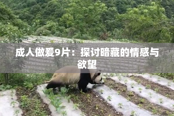 成人做爰9片：探讨暗藏的情感与欲望