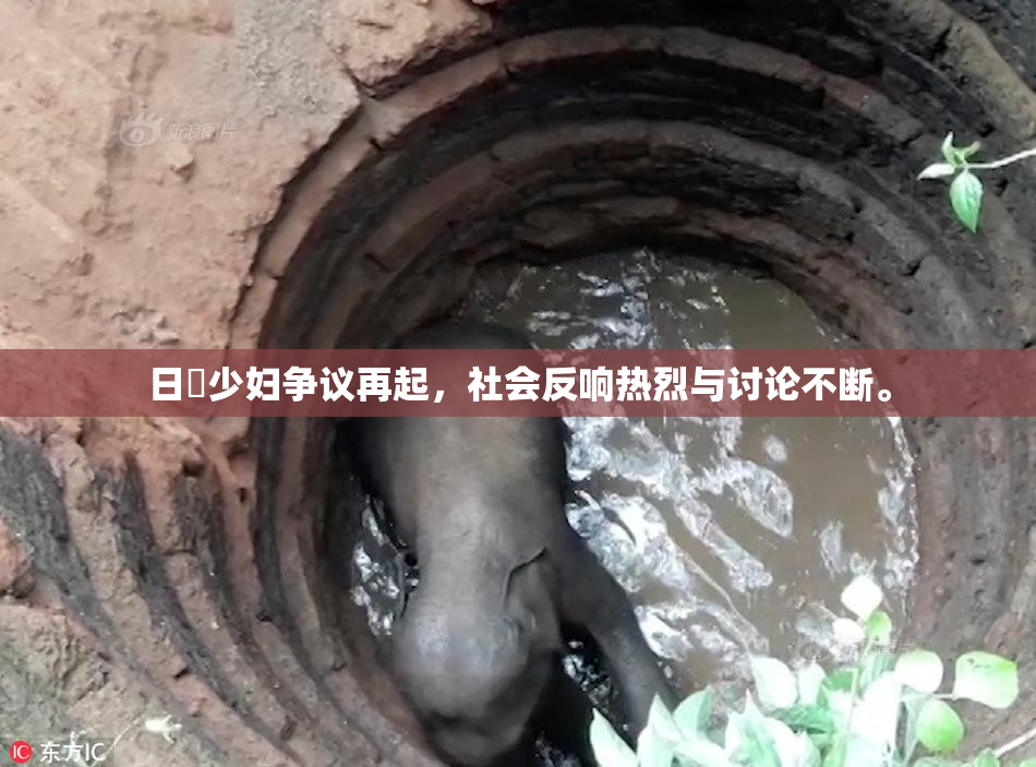 日夲少妇争议再起，社会反响热烈与讨论不断。