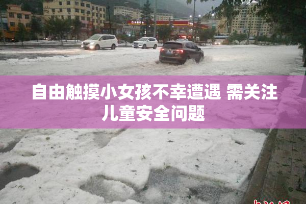 自由触摸小女孩不幸遭遇 需关注儿童安全问题