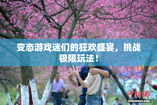 变态游戏迷们的狂欢盛宴，挑战极限玩法！