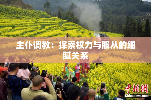 主仆调教：探索权力与服从的细腻关系