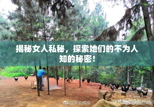 揭秘女人私秘，探索她们的不为人知的秘密！