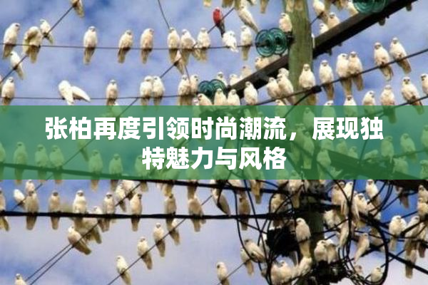 张柏再度引领时尚潮流，展现独特魅力与风格