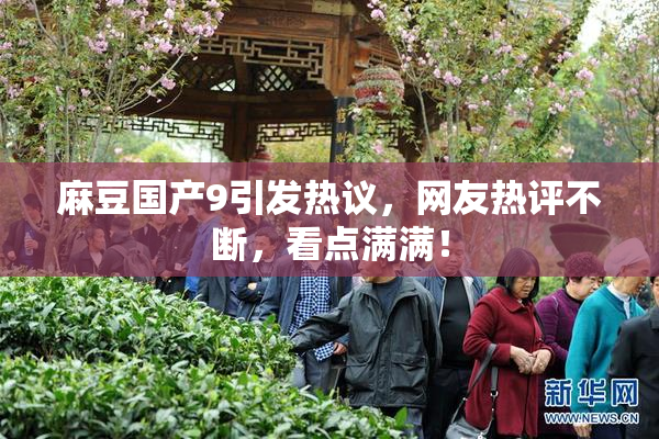 麻豆国产9引发热议，网友热评不断，看点满满！