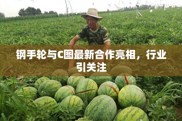 钢手轮与C图最新合作亮相，行业引关注