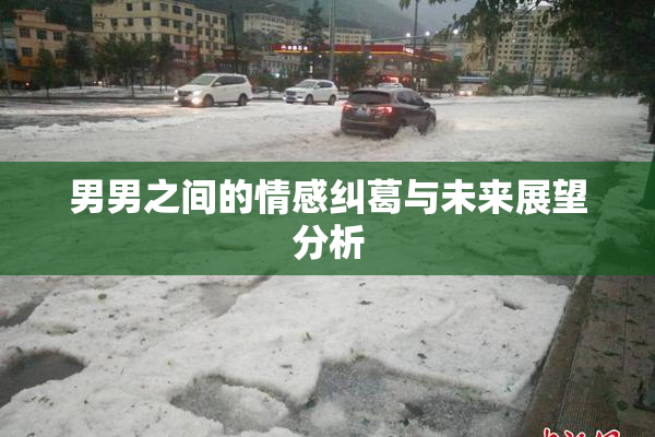 男男之间的情感纠葛与未来展望分析