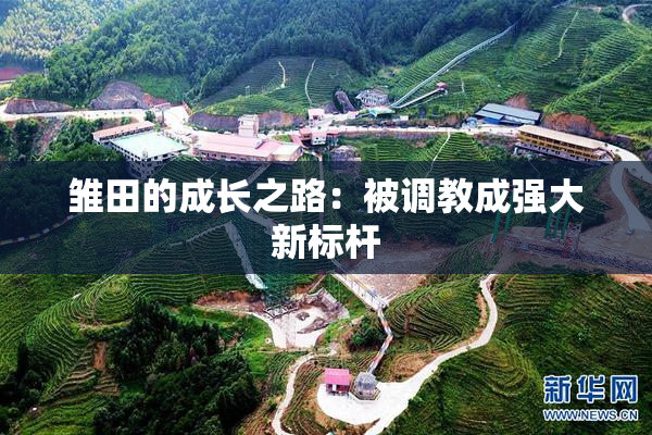 雏田的成长之路：被调教成强大新标杆