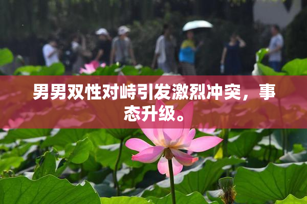 男男双性对峙引发激烈冲突，事态升级。