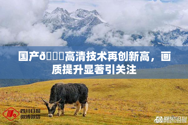 国产🍑高清技术再创新高，画质提升显著引关注