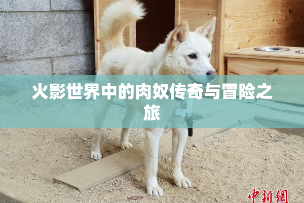 火影世界中的肉奴传奇与冒险之旅