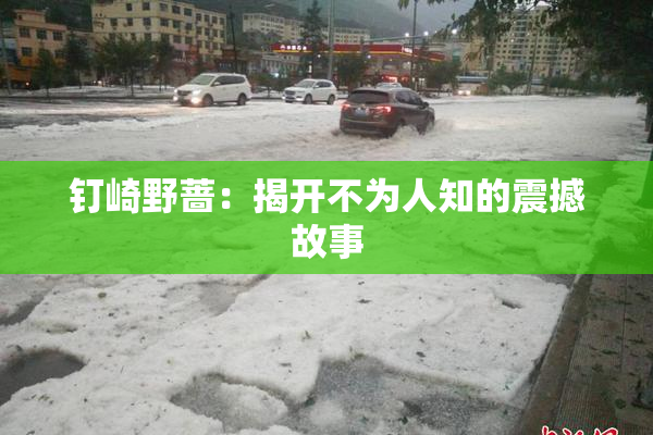 钉崎野蔷：揭开不为人知的震撼故事