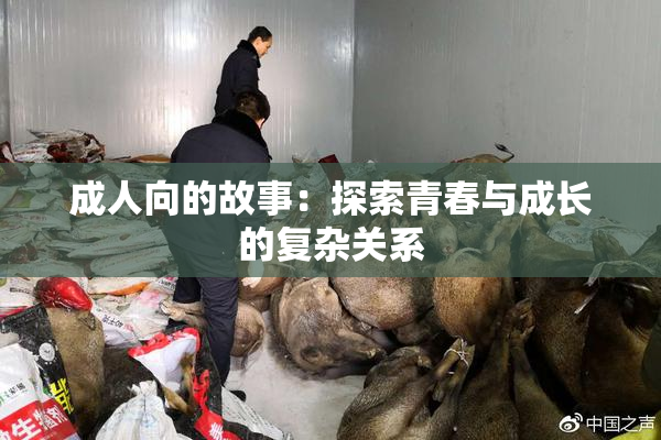 成人向的故事：探索青春与成长的复杂关系