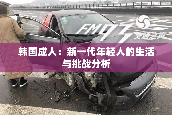韩国成人：新一代年轻人的生活与挑战分析