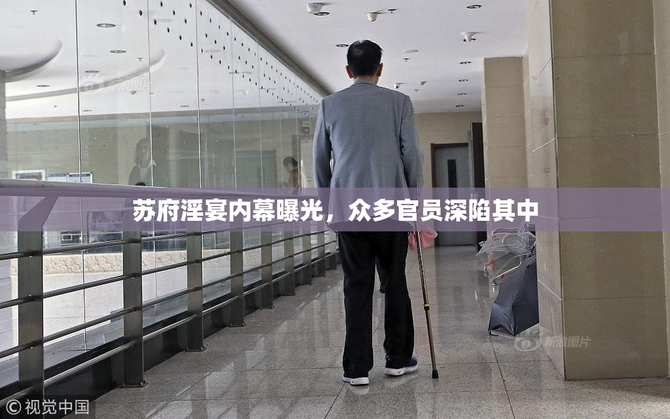 苏府淫宴内幕曝光，众多官员深陷其中
