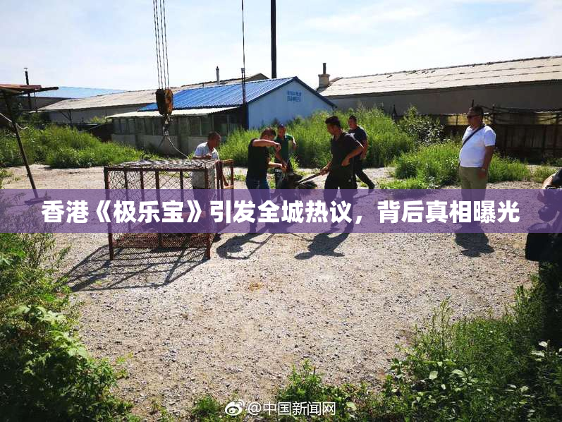香港《极乐宝》引发全城热议，背后真相曝光