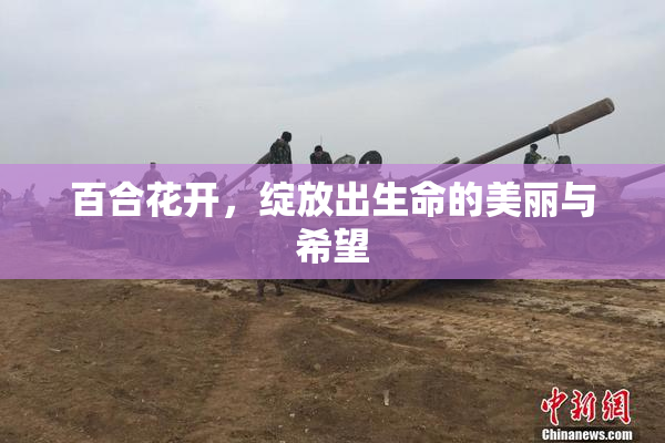 百合花开，绽放出生命的美丽与希望
