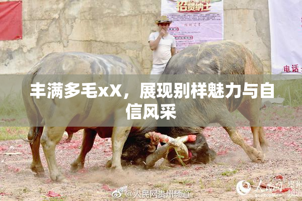 丰满多毛xX，展现别样魅力与自信风采
