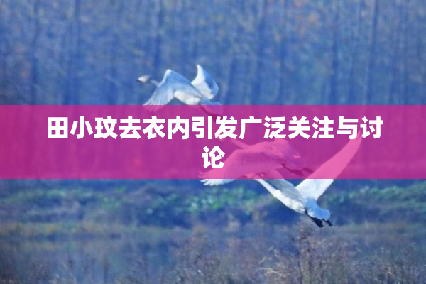 田小玟去衣内引发广泛关注与讨论