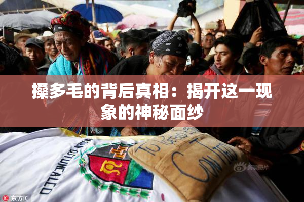 搡多毛的背后真相：揭开这一现象的神秘面纱