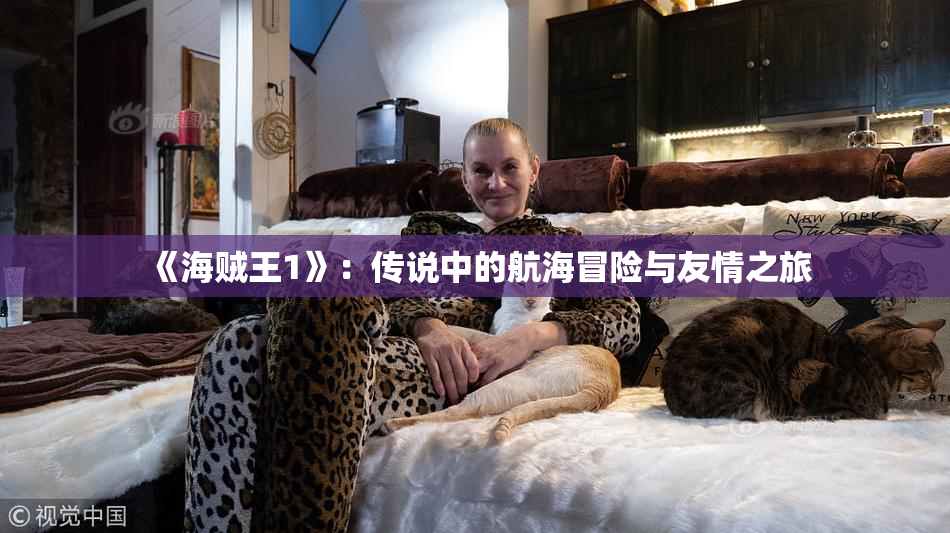 《海贼王1》：传说中的航海冒险与友情之旅