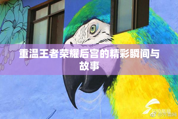 重温王者荣耀后宫的精彩瞬间与故事