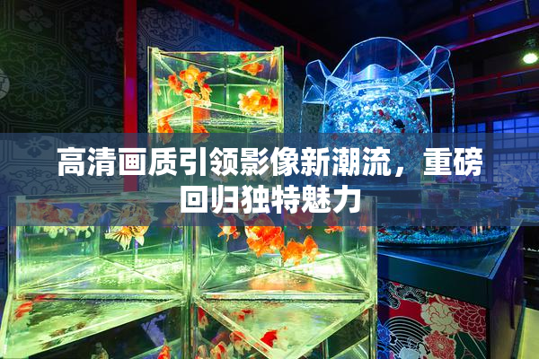 高清画质引领影像新潮流，重磅回归独特魅力