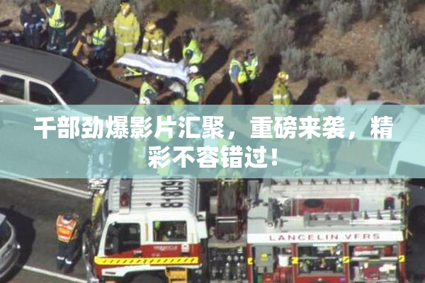 千部劲爆影片汇聚，重磅来袭，精彩不容错过！