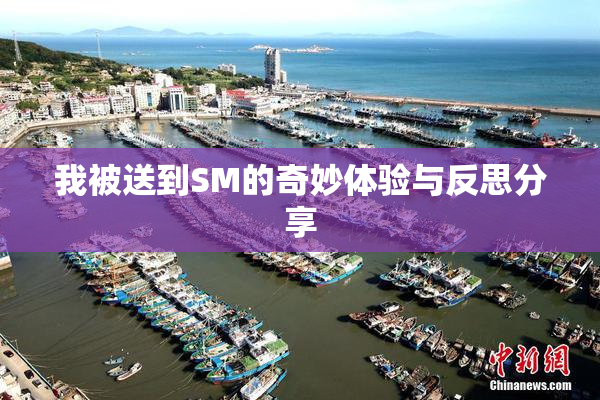 我被送到SM的奇妙体验与反思分享