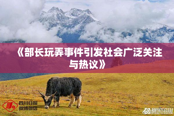 《部长玩弄事件引发社会广泛关注与热议》
