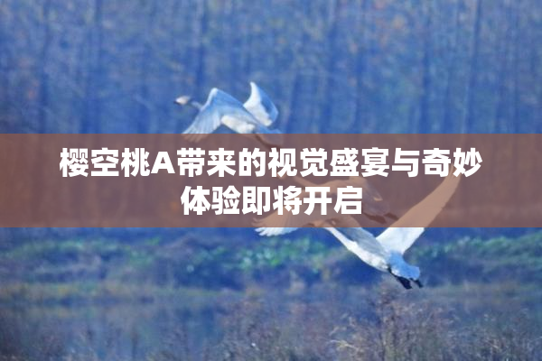 樱空桃A带来的视觉盛宴与奇妙体验即将开启