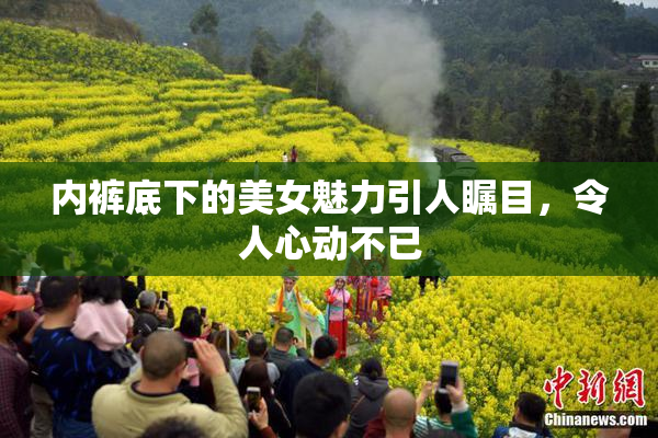 内裤底下的美女魅力引人瞩目，令人心动不已