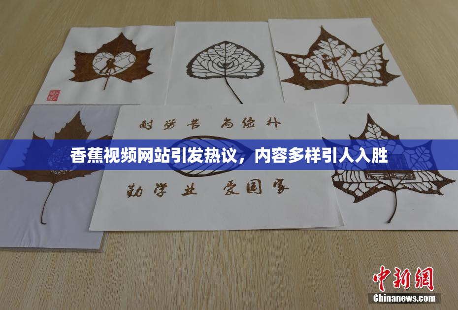 香蕉视频网站引发热议，内容多样引人入胜