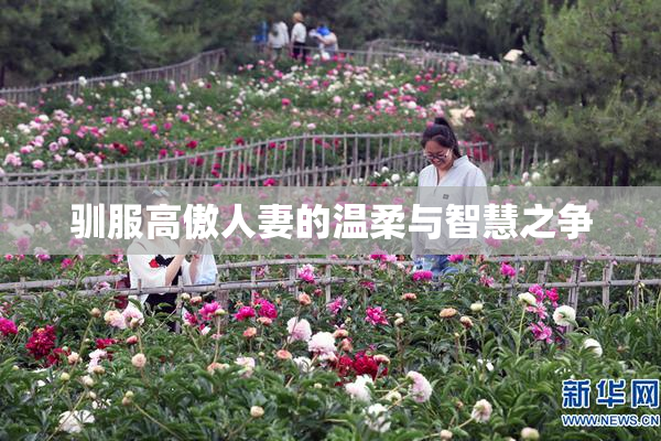 驯服高傲人妻的温柔与智慧之争