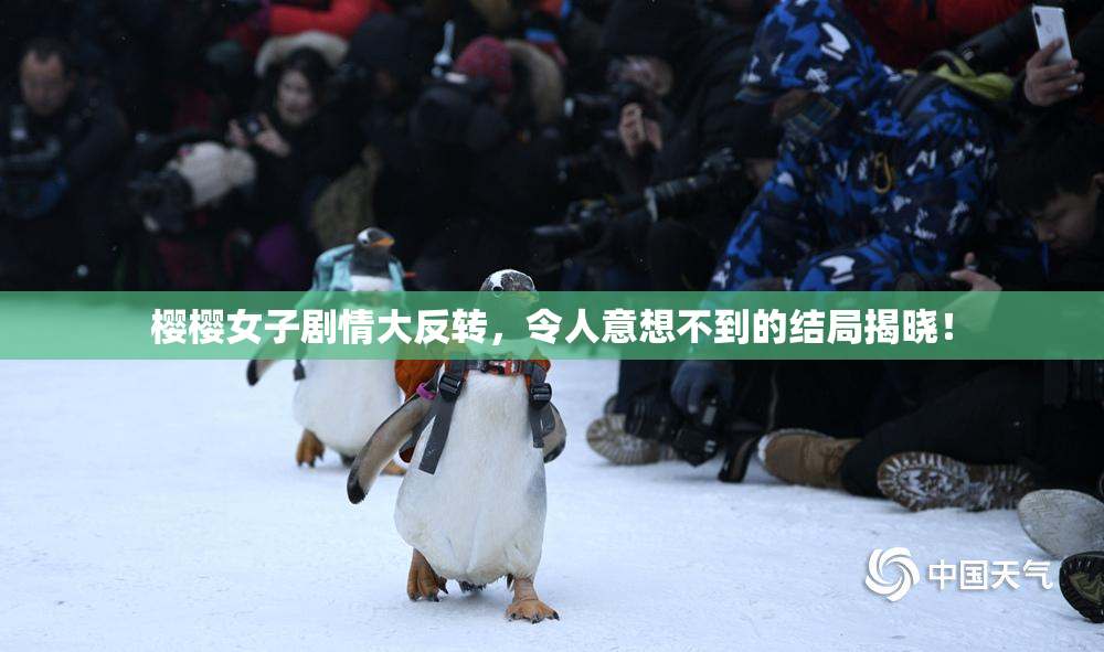 樱樱女子剧情大反转，令人意想不到的结局揭晓！