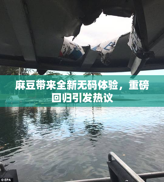 麻豆带来全新无码体验，重磅回归引发热议