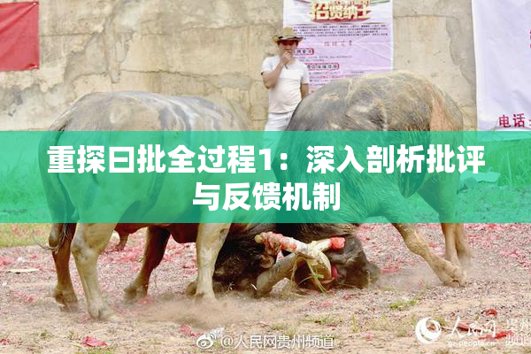 重探曰批全过程1：深入剖析批评与反馈机制
