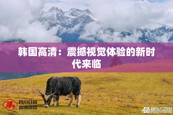 韩国高清：震撼视觉体验的新时代来临