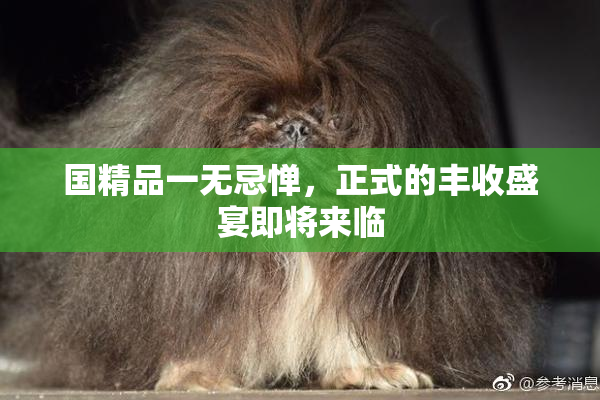 国精品一无忌惮，正式的丰收盛宴即将来临