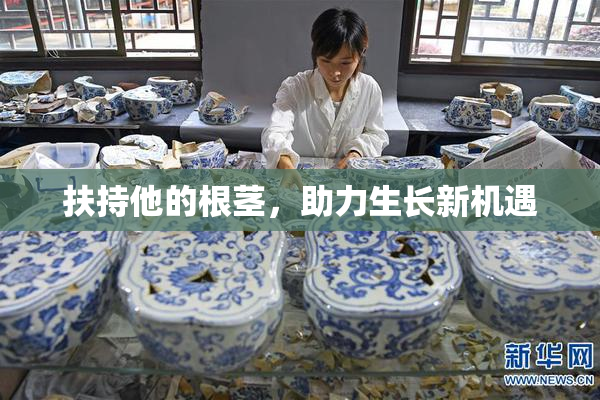 扶持他的根茎，助力生长新机遇