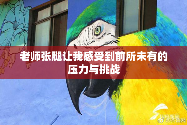 老师张腿让我感受到前所未有的压力与挑战