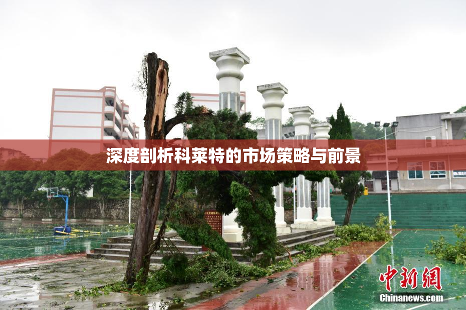 深度剖析科莱特的市场策略与前景