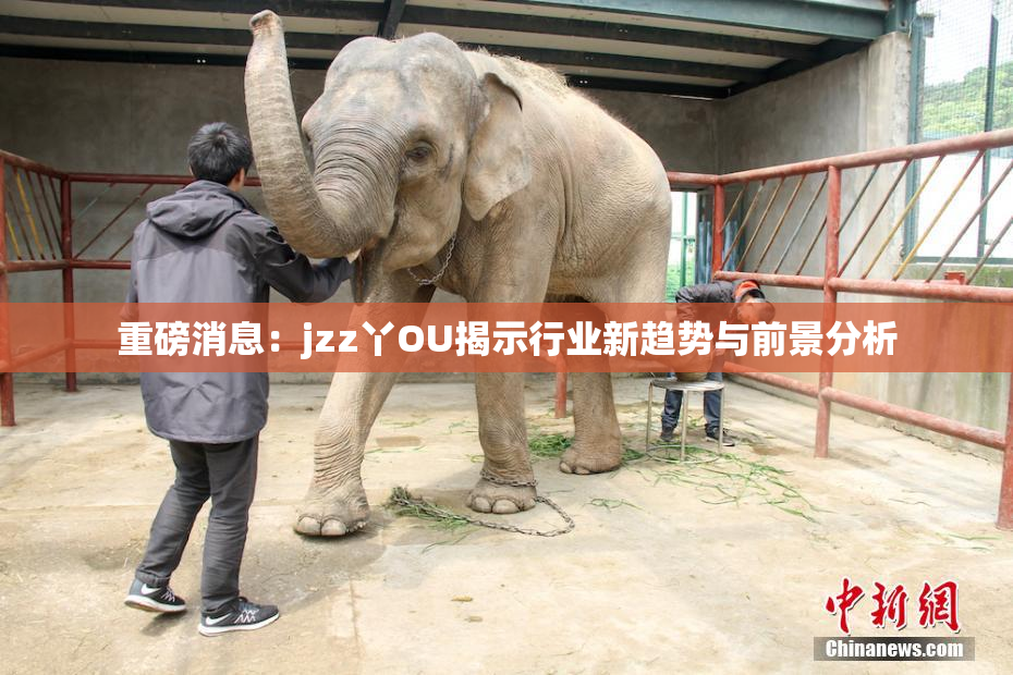 重磅消息：jzz丫OU揭示行业新趋势与前景分析