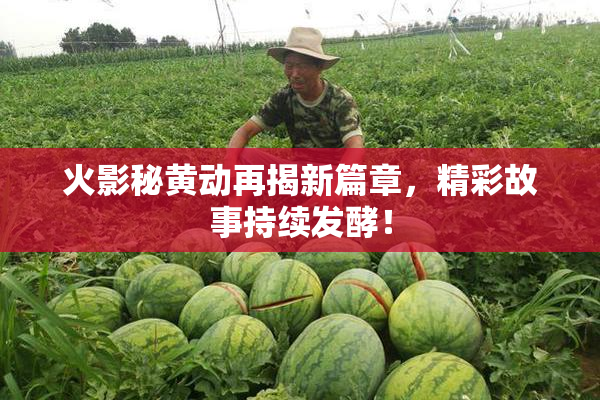 火影秘黄动再揭新篇章，精彩故事持续发酵！