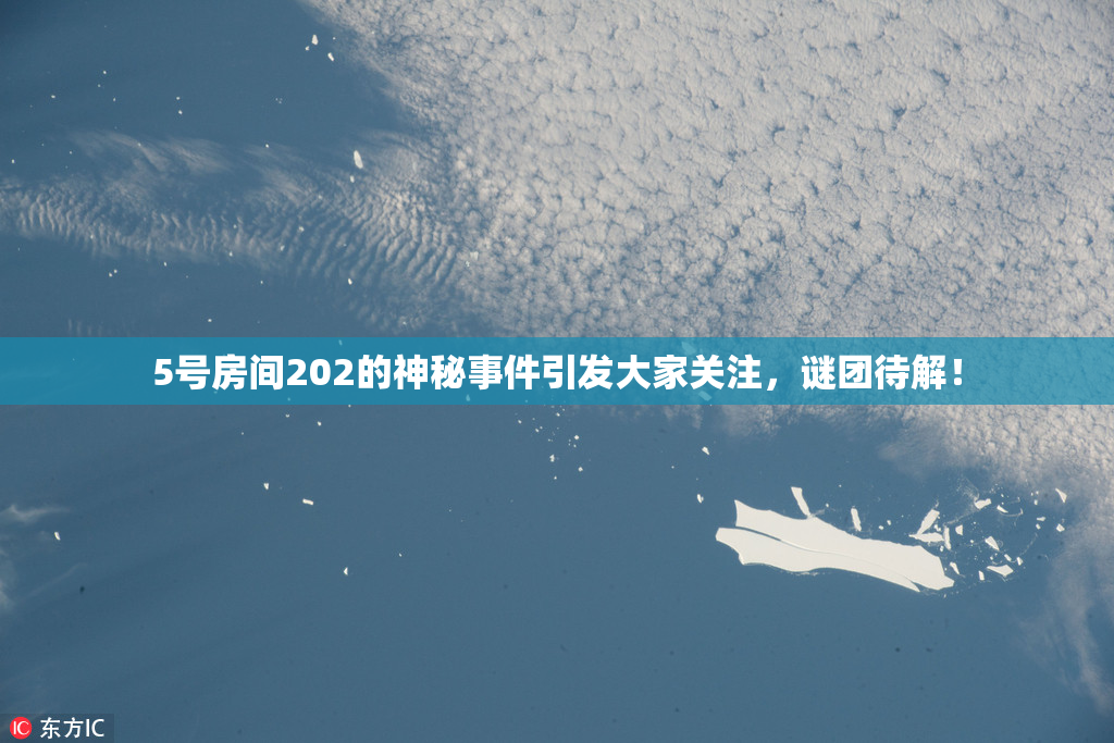 5号房间202的神秘事件引发大家关注，谜团待解！