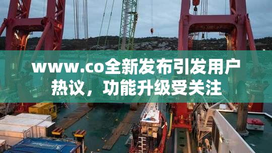 www.co全新发布引发用户热议，功能升级受关注