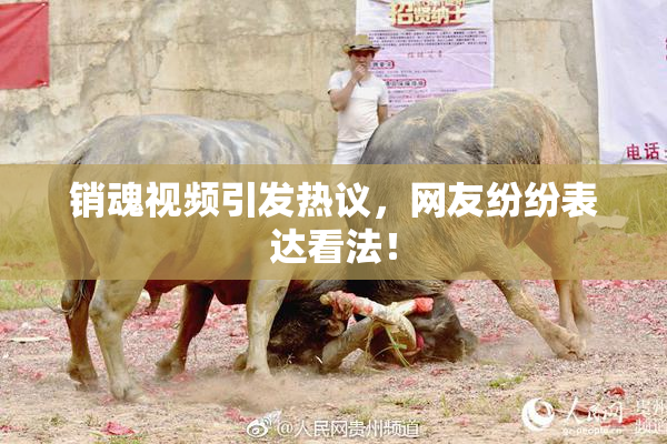 销魂视频引发热议，网友纷纷表达看法！