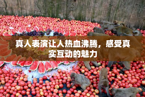 真人表演让人热血沸腾，感受真实互动的魅力
