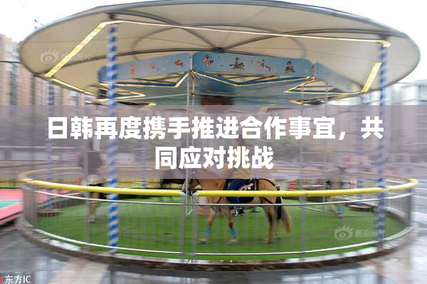 日韩再度携手推进合作事宜，共同应对挑战