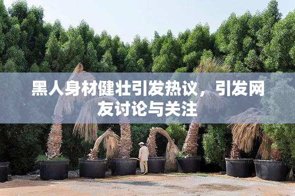 黑人身材健壮引发热议，引发网友讨论与关注