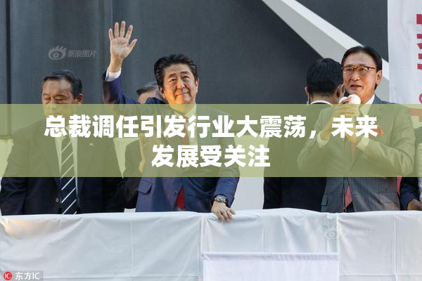 总裁调任引发行业大震荡，未来发展受关注